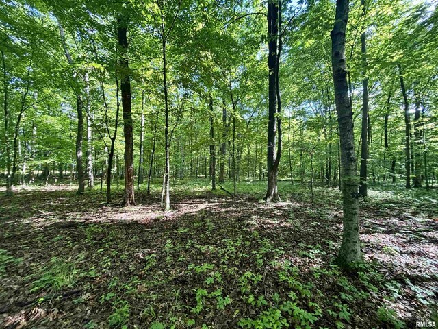 000 Flint Rd, Louisville, IL 62858