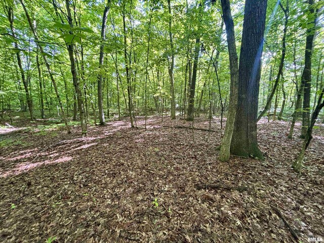 000 Flint Rd, Louisville, IL 62858