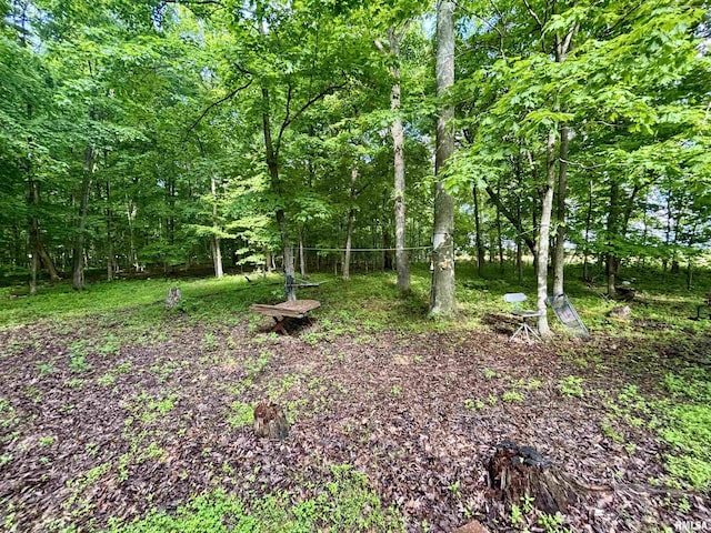 000 Flint Rd, Louisville, IL 62858