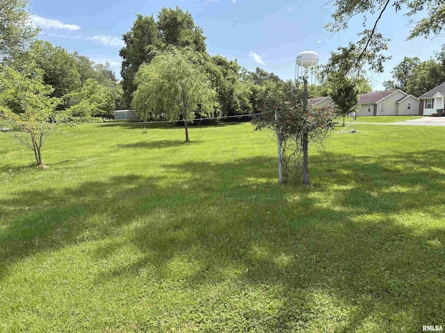 100 N 35th St, Herrin, IL 62948 - view of grassy yard