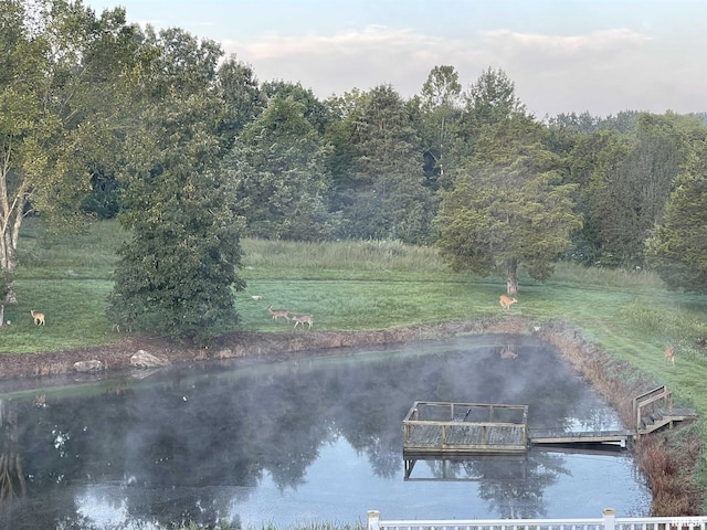 580 Blackman Hill Rd, Harrisburg, IL 62946 - dock featuring a water view