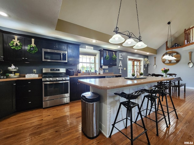 580 Blackman Hill Rd, Harrisburg, IL 62946 - kitchen featuring appliances with stainless steel finishes, dark wood-style floors, a kitchen breakfast bar, a center island, and dark cabinets