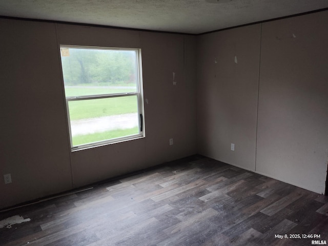 2709 Queens Ave, Odin, IL 62870 - empty room featuring wood finished floors and a textured ceiling