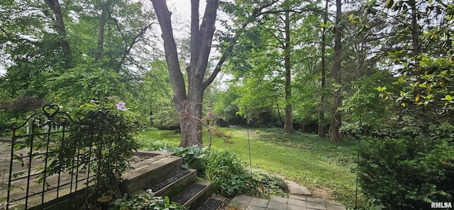 1608 W Briarwood Dr, Carbondale, IL 62901 - view of green lawn