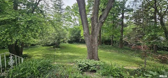 1608 W Briarwood Dr, Carbondale, IL 62901 - view of green lawn