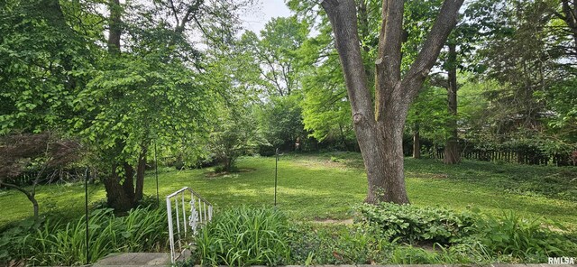 1608 W Briarwood Dr, Carbondale, IL 62901 - view of yard