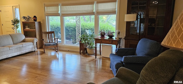 1608 W Briarwood Dr, Carbondale, IL 62901 - living room featuring healthy amount of natural light and wood finished floors