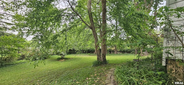 1608 W Briarwood Dr, Carbondale, IL 62901 - view of grassy yard
