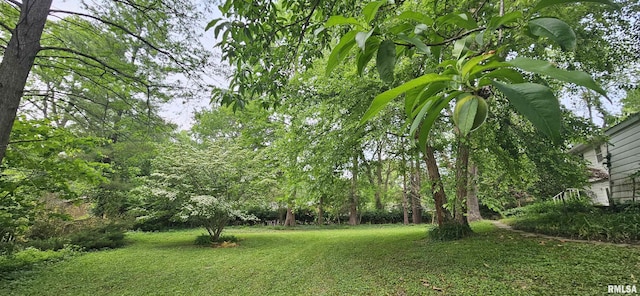 1608 W Briarwood Dr, Carbondale, IL 62901 - view of grassy yard