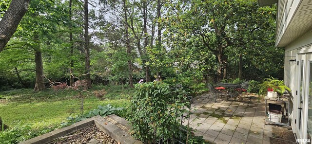 1608 W Briarwood Dr, Carbondale, IL 62901 - view of patio / terrace with outdoor dining area