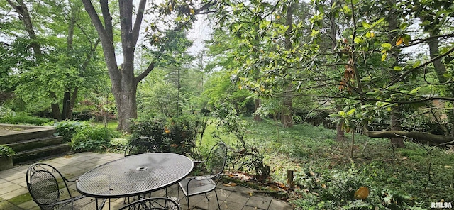 1608 W Briarwood Dr, Carbondale, IL 62901 - view of patio / terrace featuring outdoor dining area