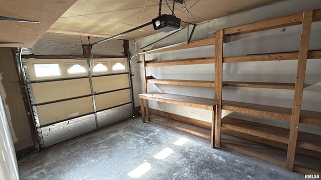 102 Stable Dr, Carterville, IL 62918 - garage with a garage door opener