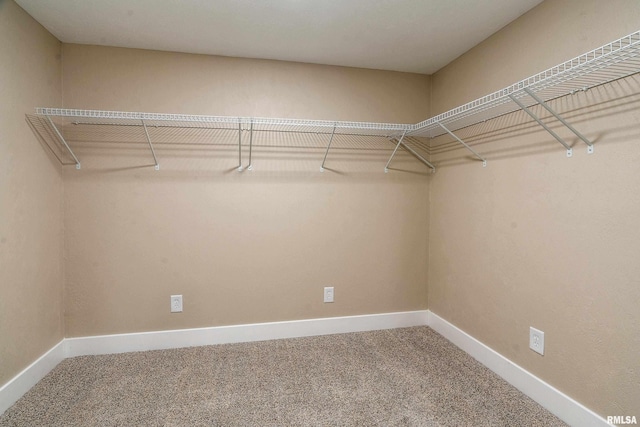 5157 Herrin Rd, Carterville, IL 62918 - photo 20