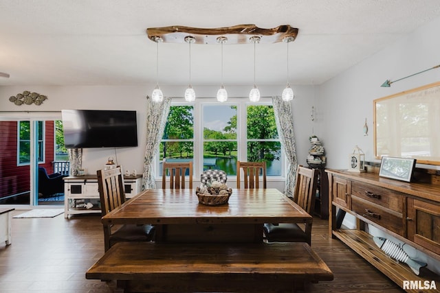 11782 Driftwood Dr, Marion, IL 62959 - dining room with dark wood-style floors and plenty of natural light