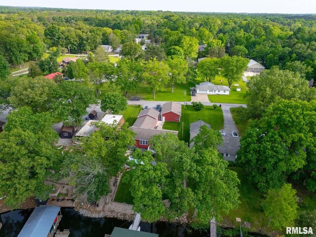 11782 Driftwood Dr, Marion, IL 62959 - drone / aerial view of a forest