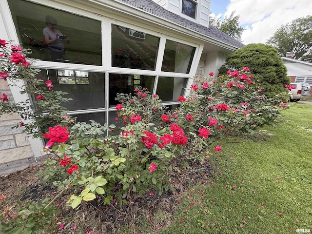 19 Park Ln, Centralia, IL 62801 - view of property exterior with roof with shingles and a lawn