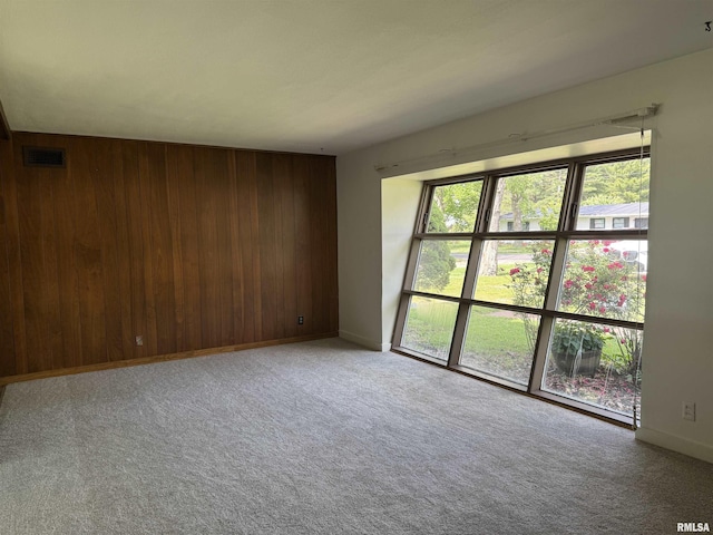 19 Park Ln, Centralia, IL 62801 - carpeted spare room with wood walls and baseboards
