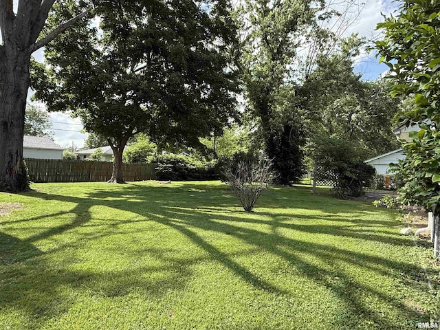 19 Park Ln, Centralia, IL 62801 - view of yard