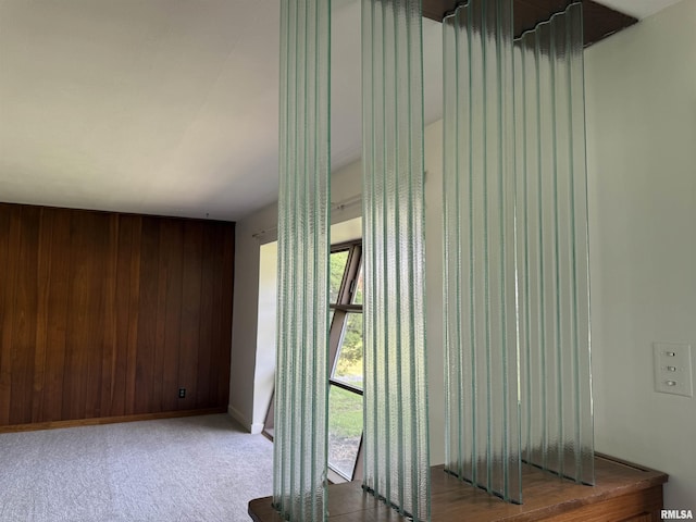 19 Park Ln, Centralia, IL 62801 - detailed view of wooden walls, baseboards, and carpet flooring