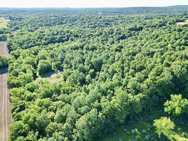 000 Yellow Springs Rd, Elizabethtown, IL 62931 - photo 1
