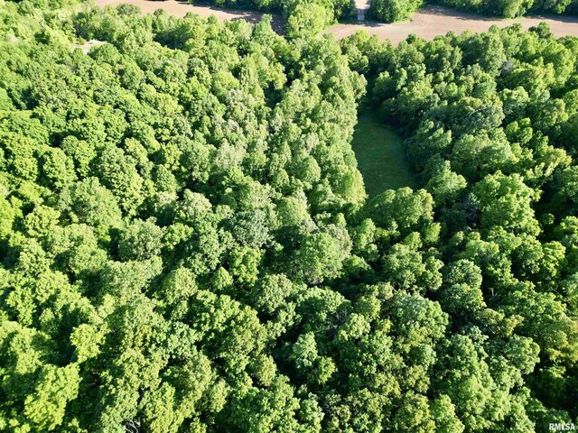 000 Yellow Springs Rd, Elizabethtown, IL 62931 - photo 11