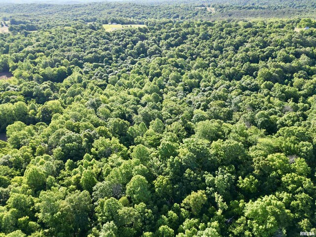 000 Yellow Springs Rd, Elizabethtown, IL 62931 - photo 13