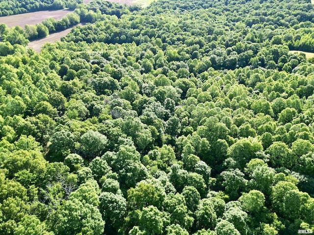 000 Yellow Springs Rd, Elizabethtown, IL 62931 - photo 14