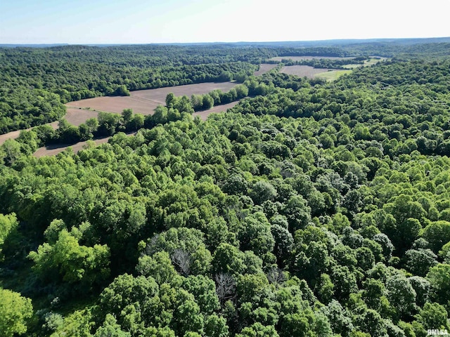 000 Yellow Springs Rd, Elizabethtown, IL 62931 - photo 16