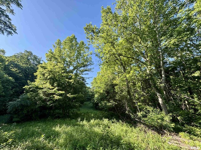 000 Yellow Springs Rd, Elizabethtown, IL 62931 - photo 17