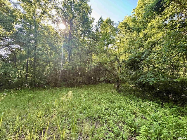 000 Yellow Springs Rd, Elizabethtown, IL 62931 - photo 18