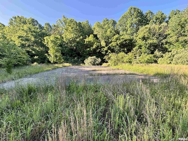 000 Yellow Springs Rd, Elizabethtown, IL 62931 - photo 19