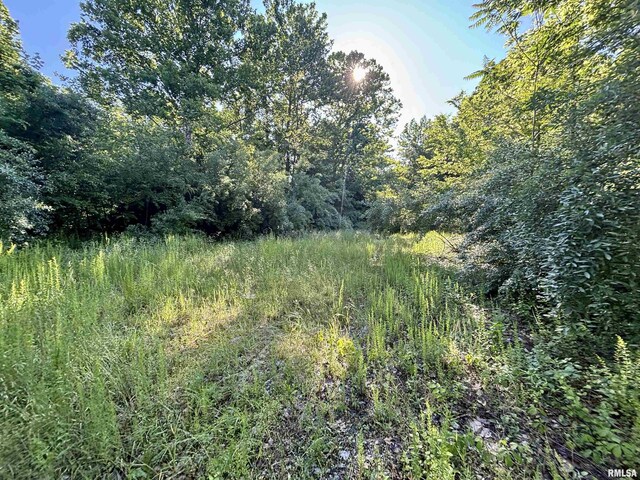 000 Yellow Springs Rd, Elizabethtown, IL 62931 - photo 20