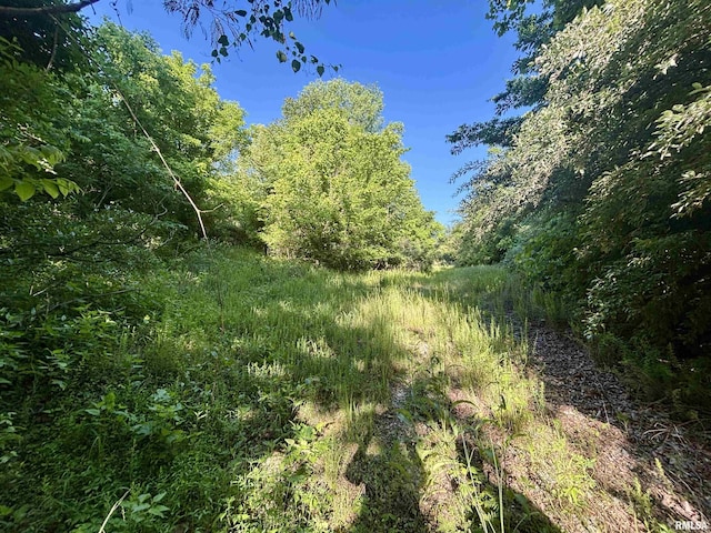 000 Yellow Springs Rd, Elizabethtown, IL 62931 - photo 21