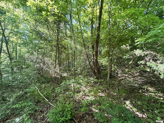 000 Yellow Springs Rd, Elizabethtown, IL 62931 - photo 22