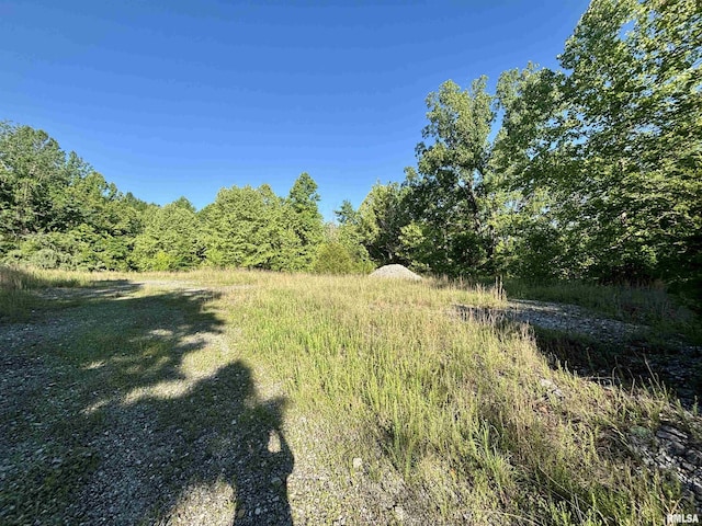 000 Yellow Springs Rd, Elizabethtown, IL 62931 - photo 25