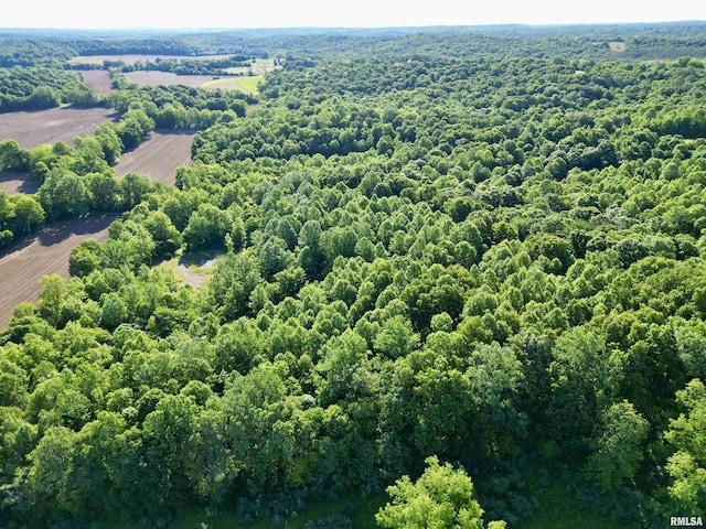 000 Yellow Springs Rd, Elizabethtown, IL 62931 - photo 4