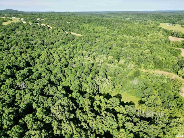 000 Yellow Springs Rd, Elizabethtown, IL 62931 - photo 8