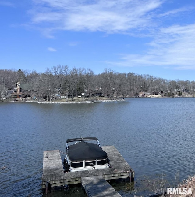 3695 Parrish Ridge Ln, Goreville, IL 62939