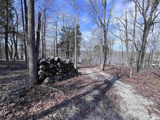 3695 Parrish Ridge Ln, Goreville, IL 62939