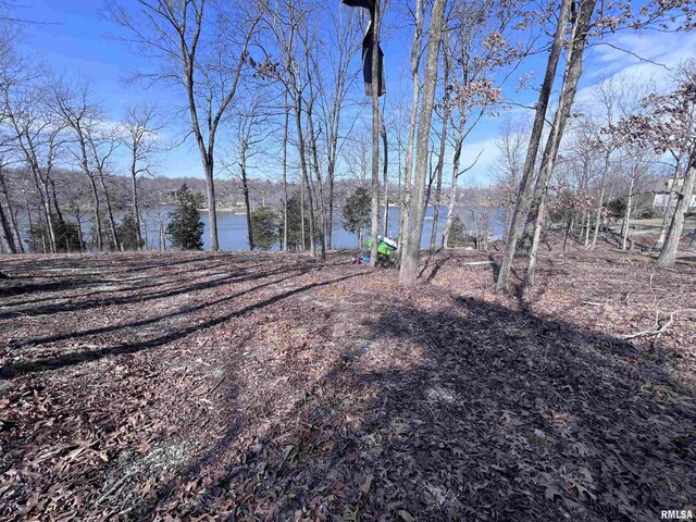 3695 Parrish Ridge Ln, Goreville, IL 62939