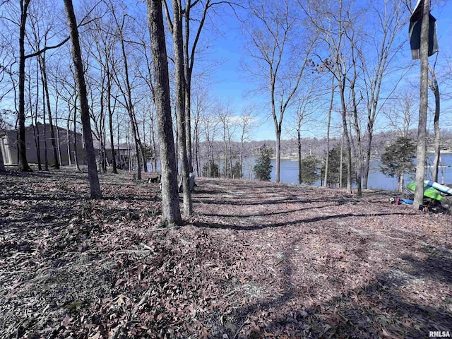 3695 Parrish Ridge Ln, Goreville, IL 62939