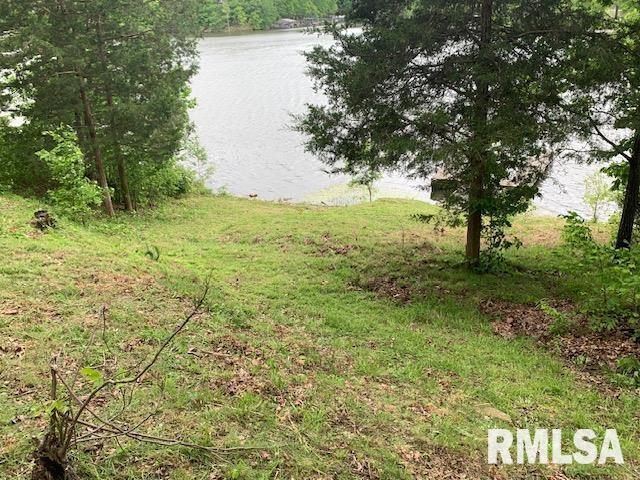 3695 Parrish Ridge Ln, Goreville, IL 62939