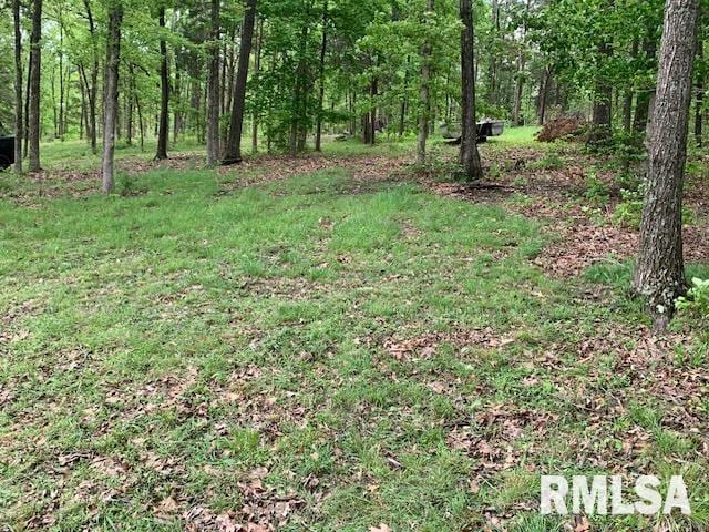 3695 Parrish Ridge Ln, Goreville, IL 62939