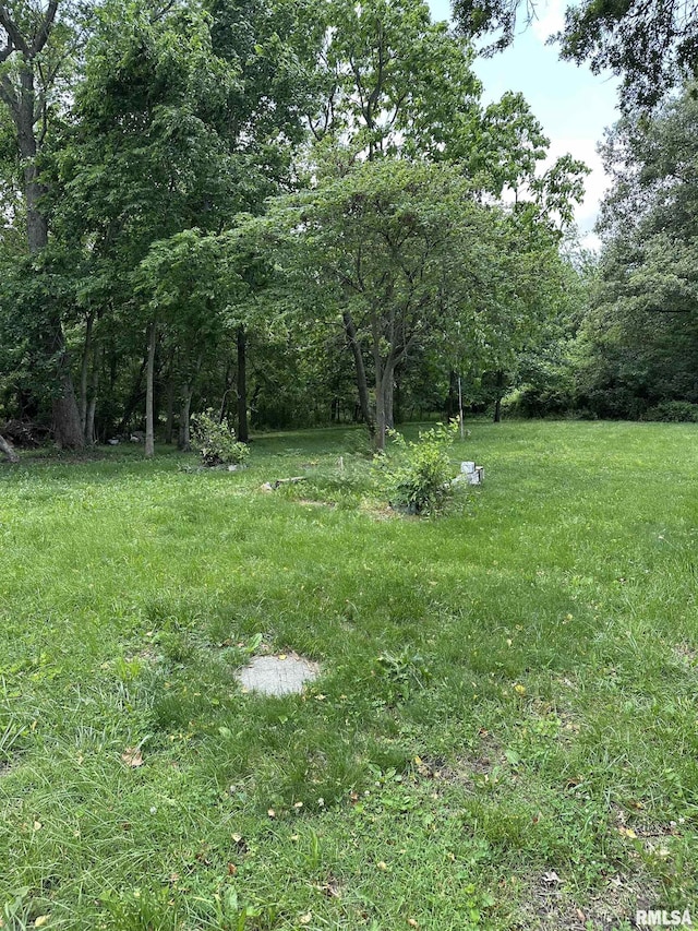 1480 Hemlock Rd, Duquoin, IL 62832 - view of yard featuring a wooded view
