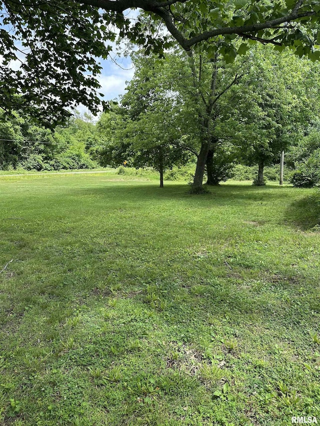 1480 Hemlock Rd, Duquoin, IL 62832 - view of green lawn