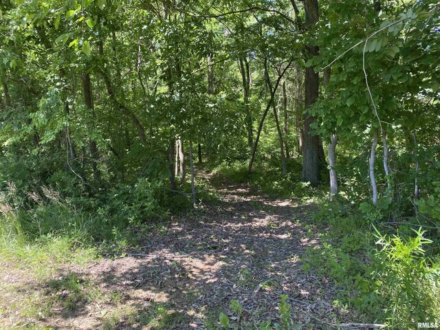1640 Pleasant Ridge Rd, Vienna, IL 62995 - view of local wilderness