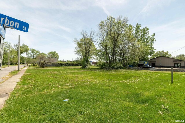 107 N Carbon St, Marion, IL 62959 - photo 8