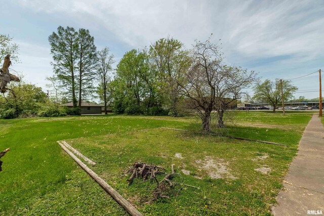 107 N Carbon St, Marion, IL 62959 - photo 9