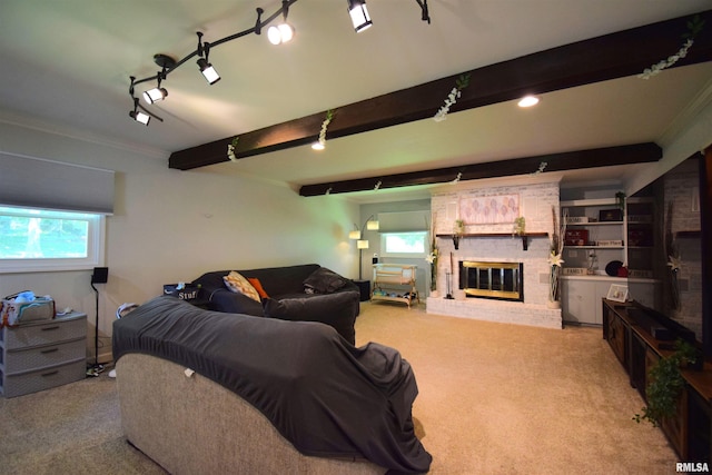 2704 Jamison Blvd, Mount Vernon, IL 62864 - carpeted living area with a fireplace, beam ceiling, ornamental molding, and track lighting