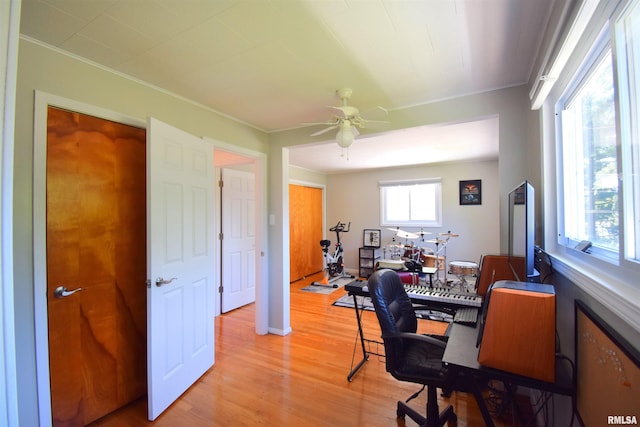2704 Jamison Blvd, Mount Vernon, IL 62864 - office space with ornamental molding, light wood-type flooring, and ceiling fan